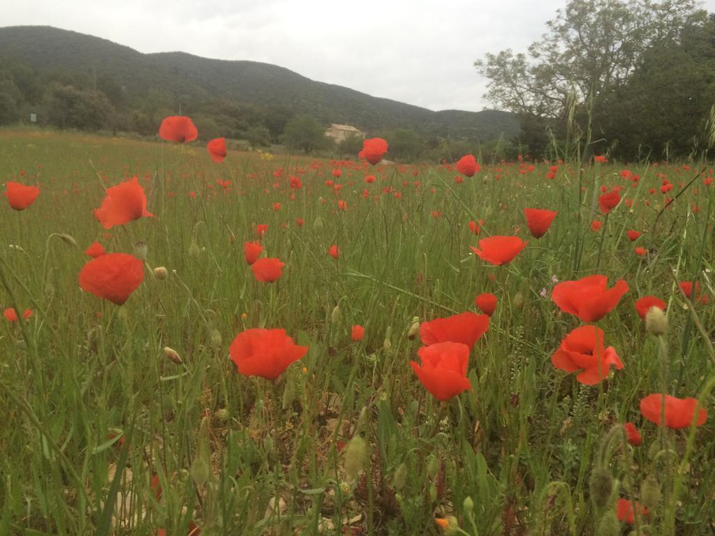 Bed and Breakfast La Rivayne Lourmarin Exterior foto